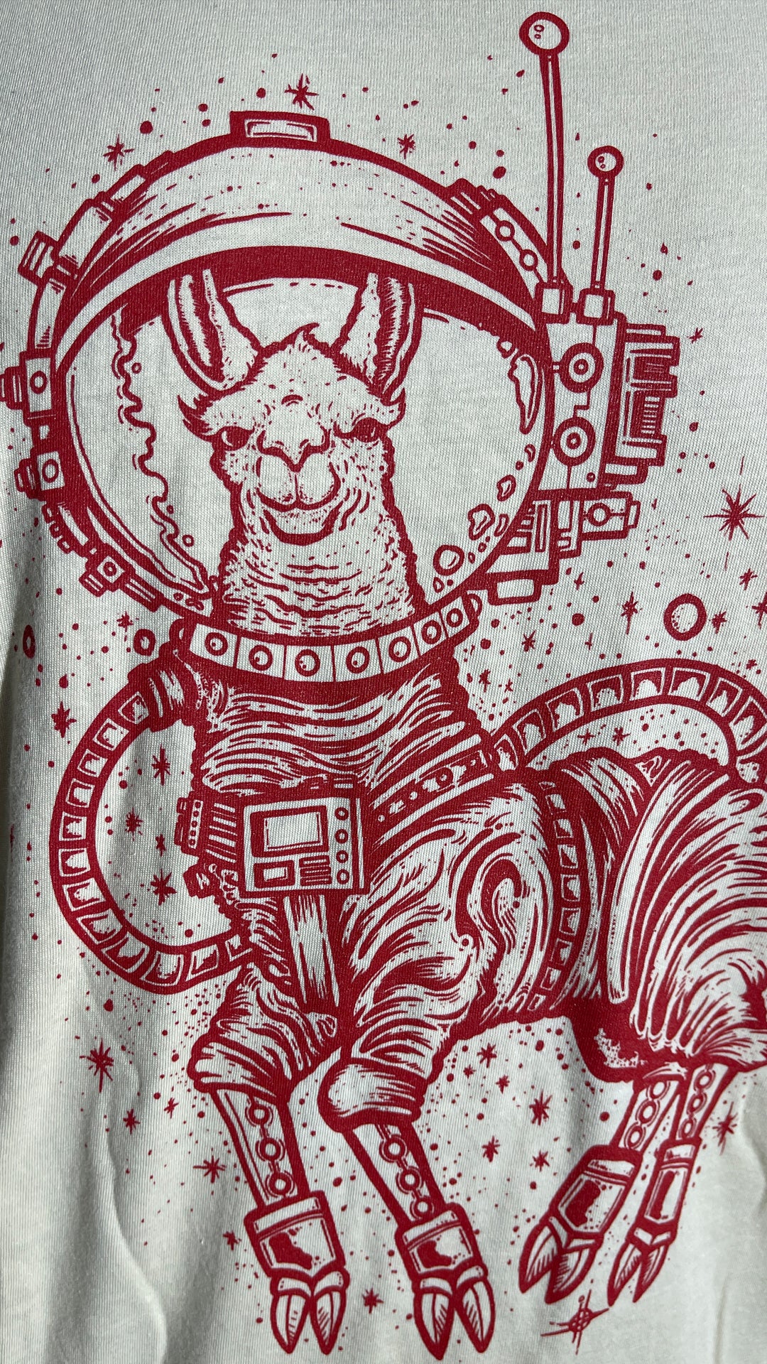 SPACE LLAMA