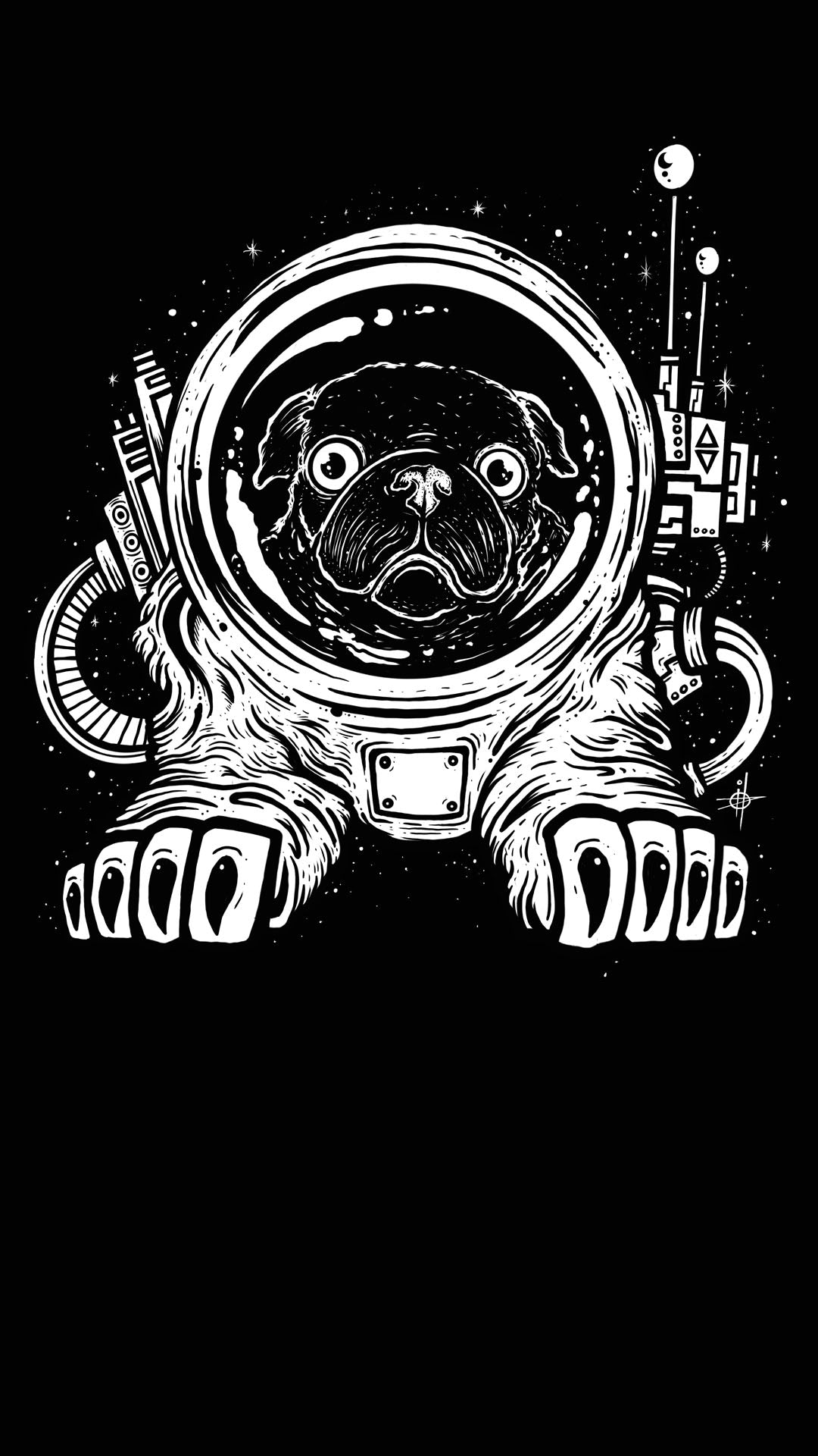 SPACE PUG